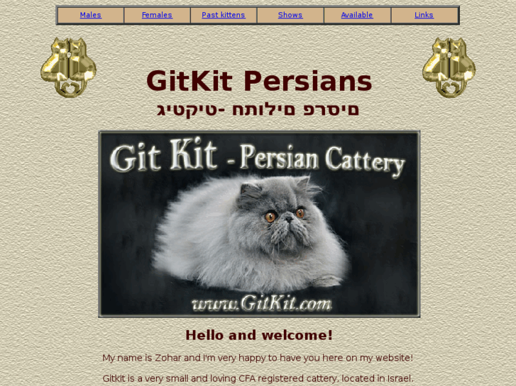 www.gitkit.com