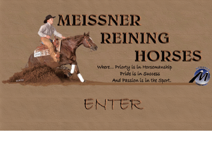 www.meissnerreininghorses.com