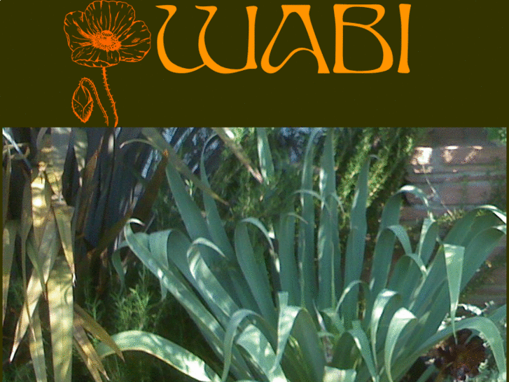 www.wabi.co