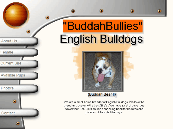 www.buddahbullies.com