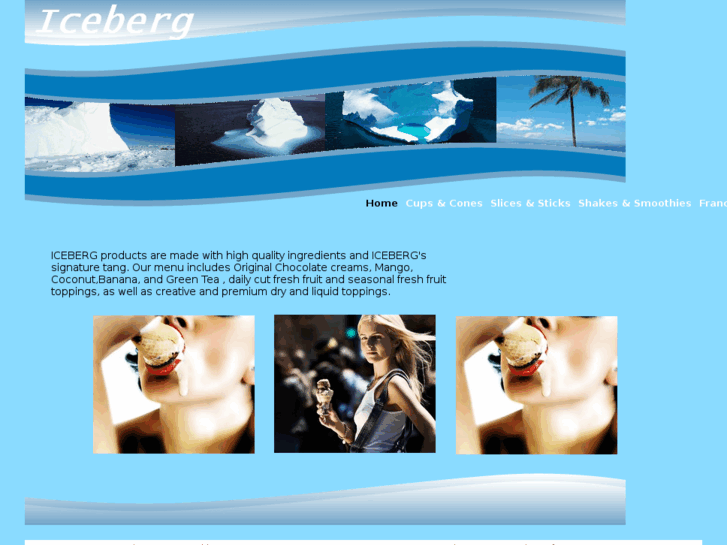 www.iceberg-world.com