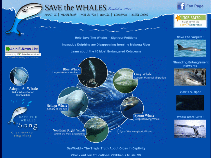 www.savethewhales.org