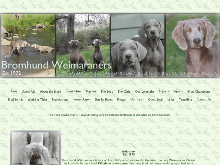 www.bromhund.com