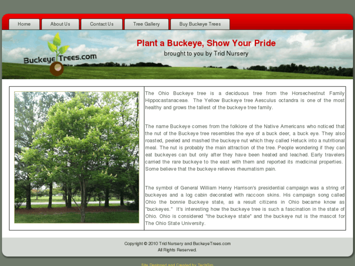 www.buckeyetrees.com