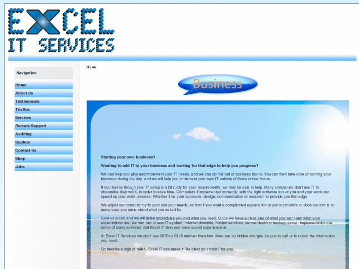 www.excelitservices.com