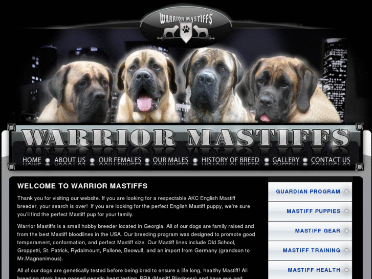 www.warriormastiffs.com