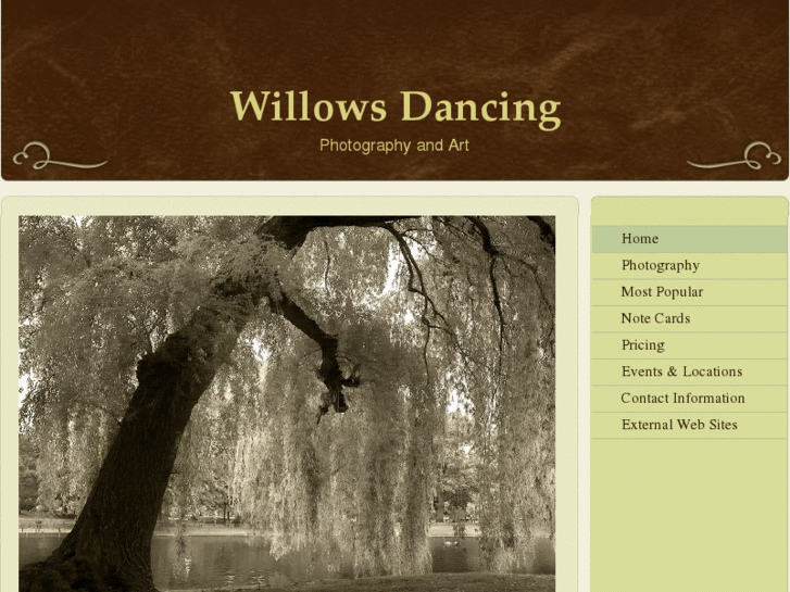 www.willowsdancing.com