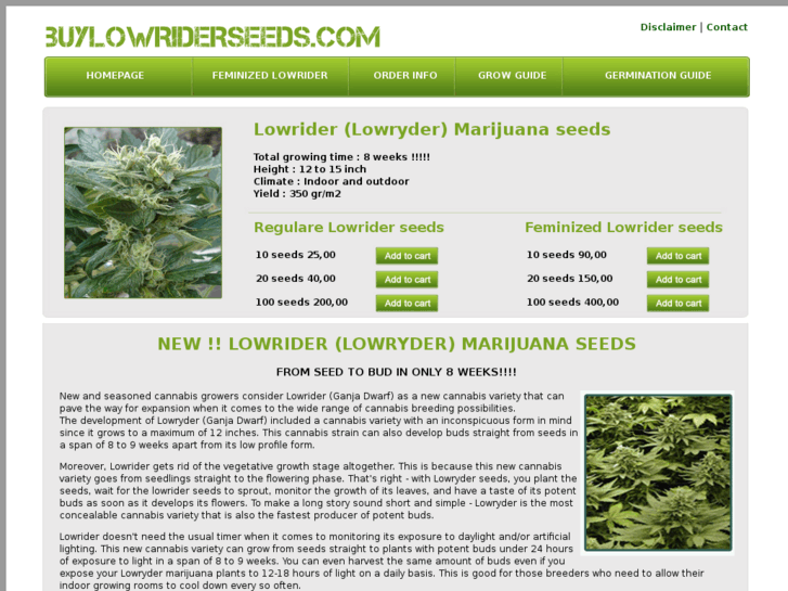 www.buylowriderseeds.com