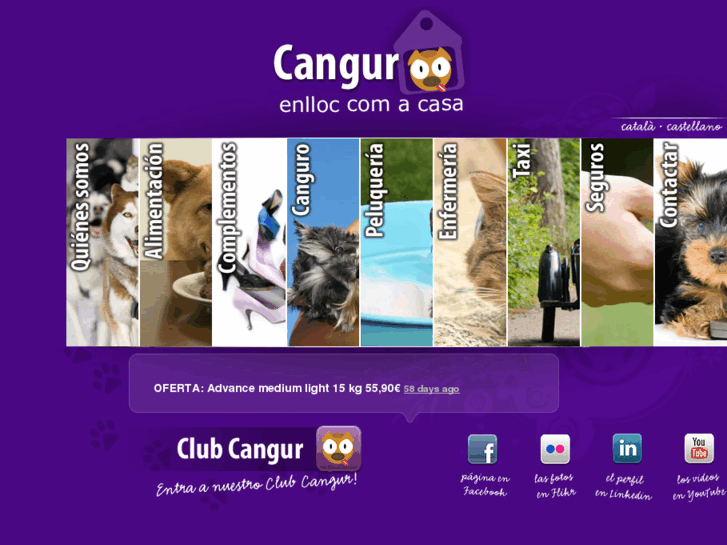 www.cangur.es