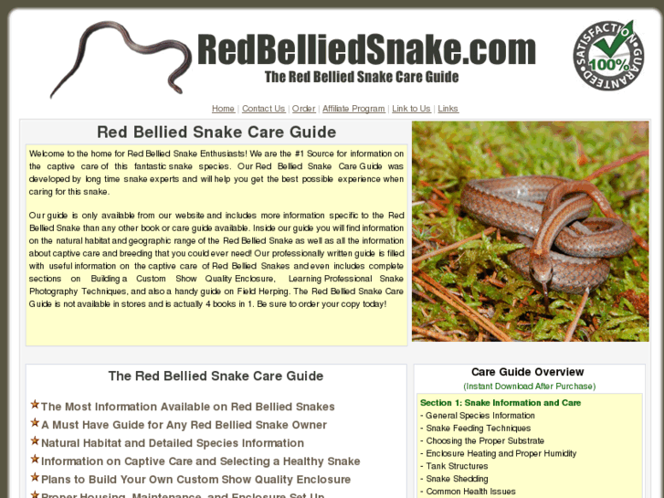 www.redbelliedsnake.com