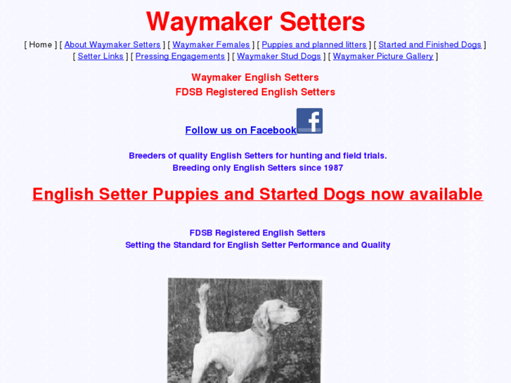 www.waymakersetters.com