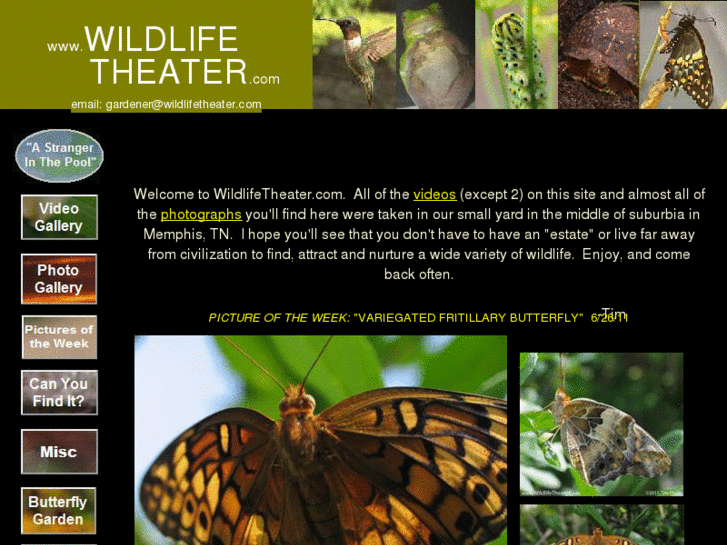 www.wildlifetheater.com