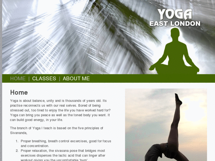 www.yogaeast.info