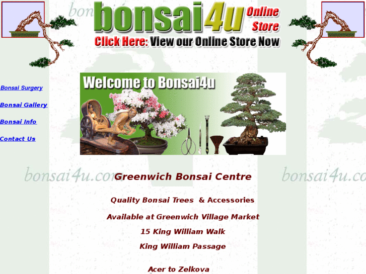 www.bonsai4u.com