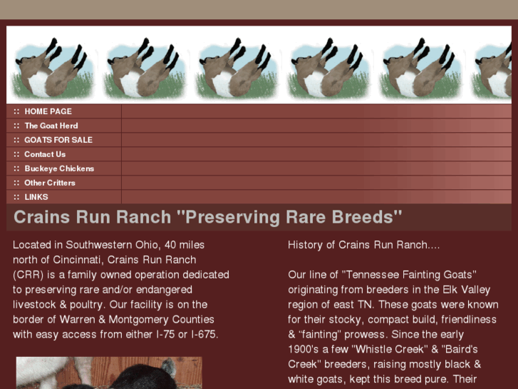 www.crainsrunranch.com