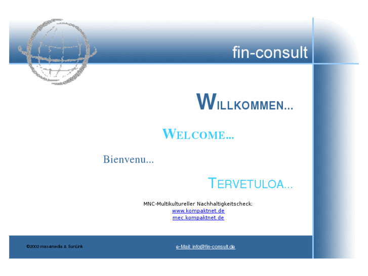 www.fin-consult.net