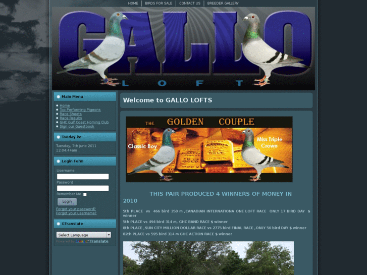 www.galloloft.com