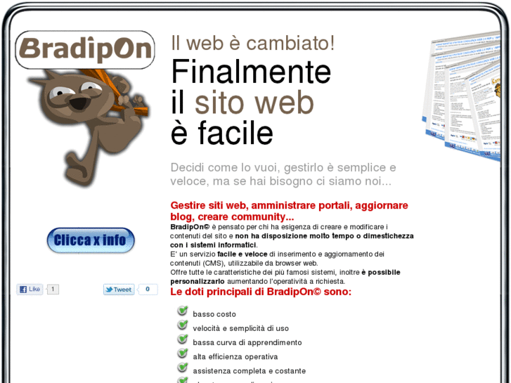 www.bradipon.com