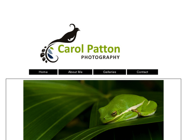 www.carolpattonphotography.com