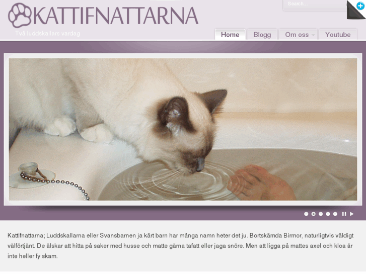 www.kattifnattarna.se