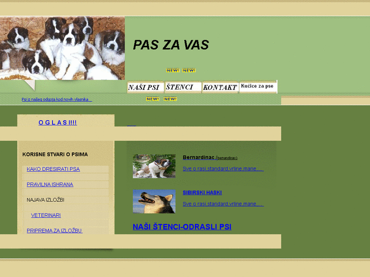 www.paszavas.info