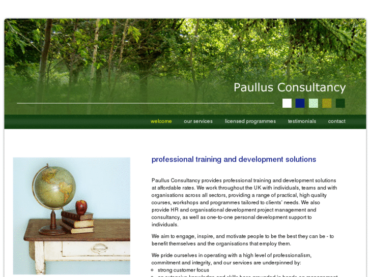 www.paullusconsultancy.com