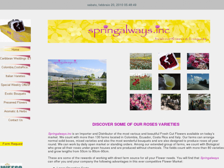 www.springalways.net