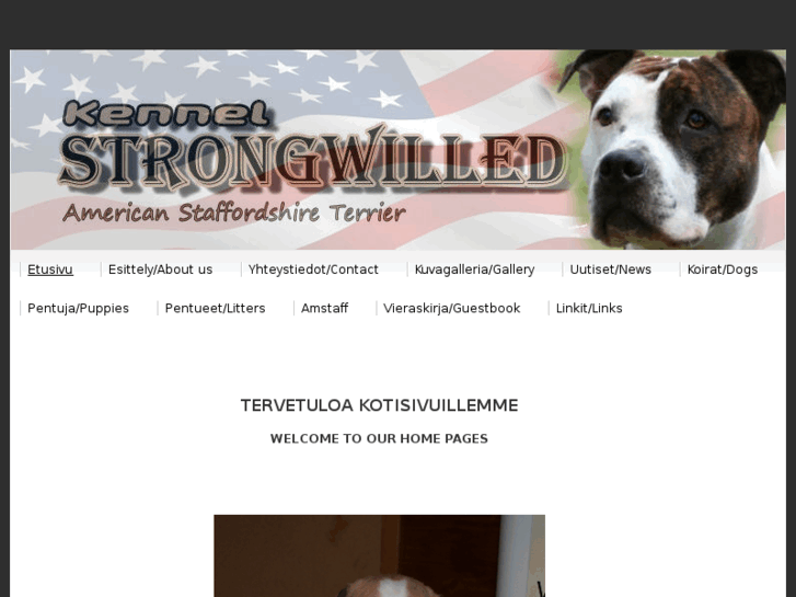 www.strongwilled.org