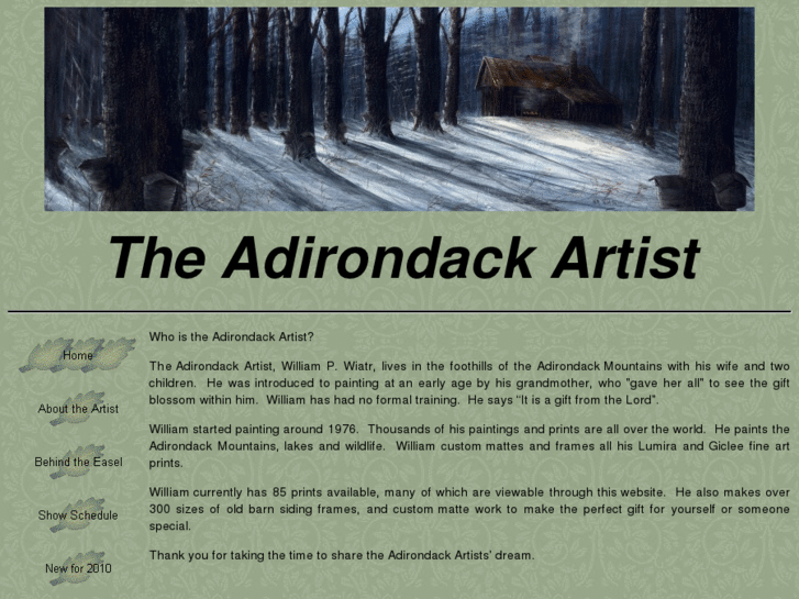 www.theadirondackartist.com