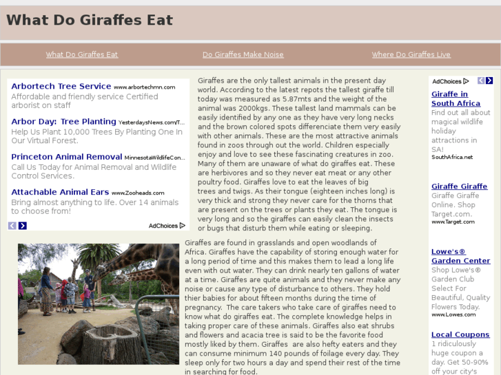 www.whatdogiraffeseat.com