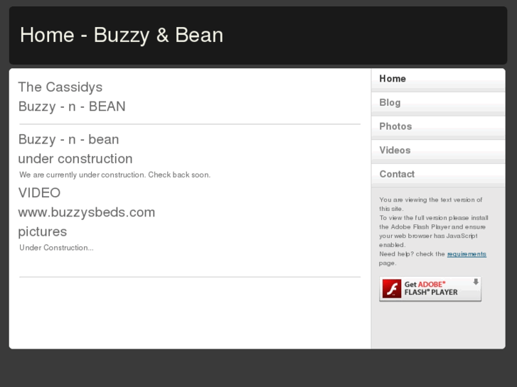 www.buzzy-n-bean.com