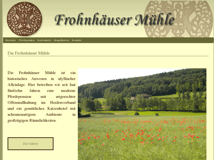 www.frohnhaeuser-muehle.de