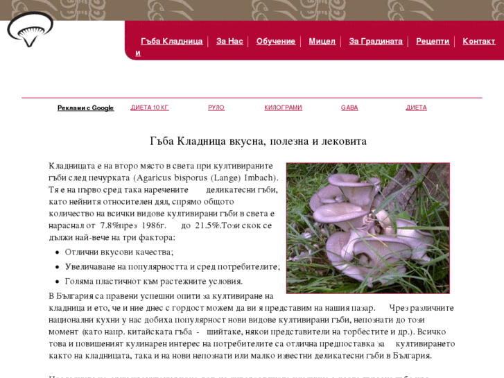 www.kladnica-bg.com