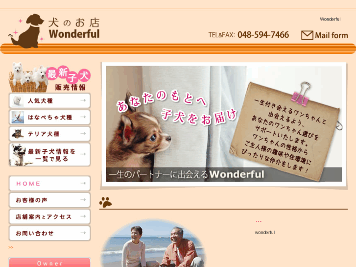 www.koinu-wonderful.com