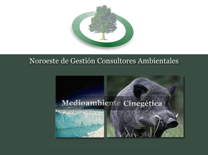 www.ngc-consultores.com