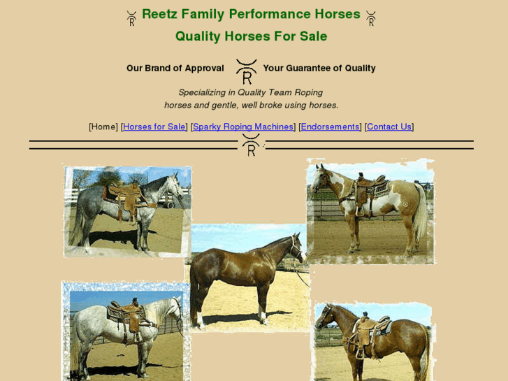 www.reetzhorses.com