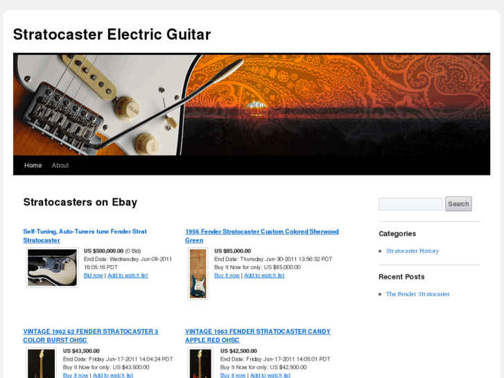www.stratocasterelectricguitar.com