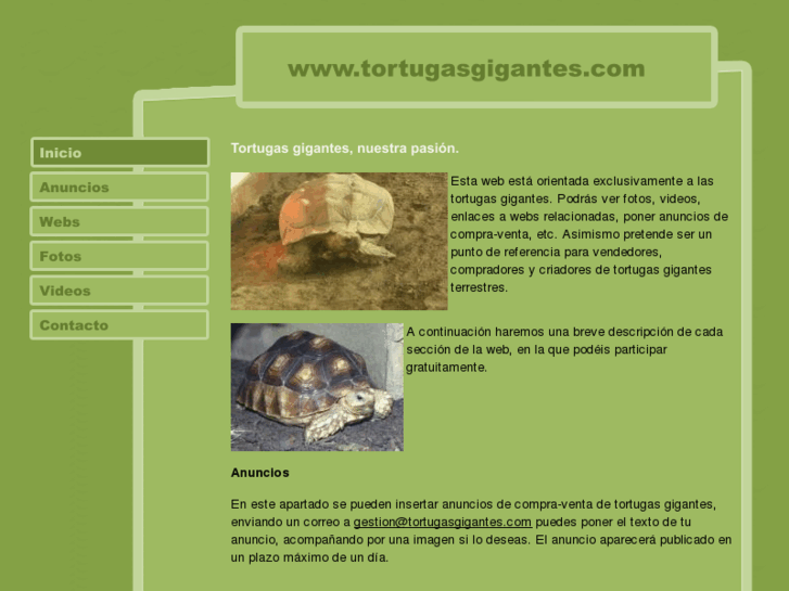 www.tortugasgigantes.com