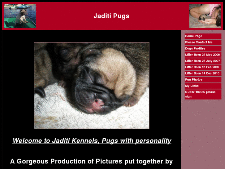 www.jaditipug.com