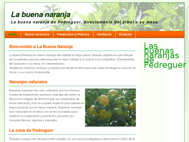 www.labuenanaranja.es