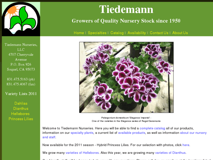 www.tiedemannllc.com