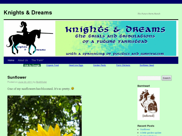 www.knightsanddreams.com