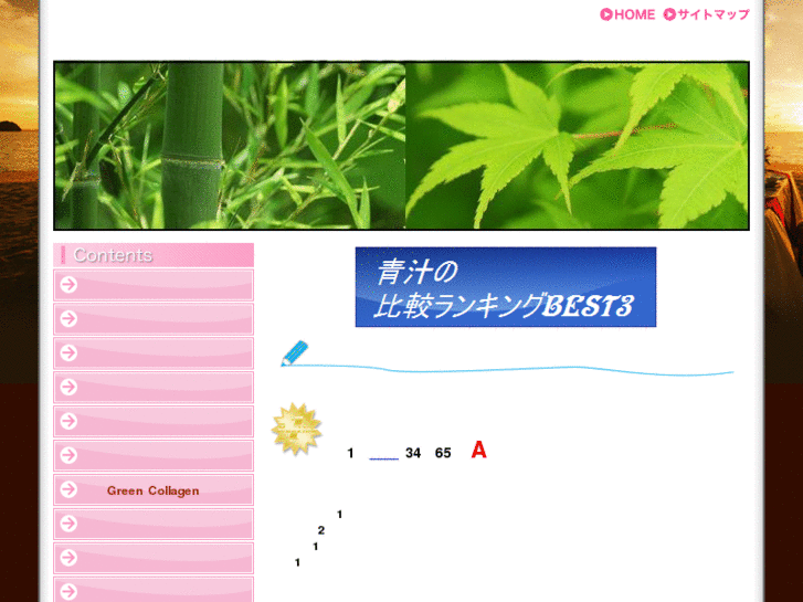 www.meiji-rekishi.com