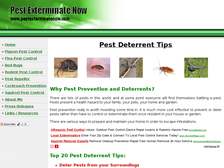 www.pestexterminatenow.com