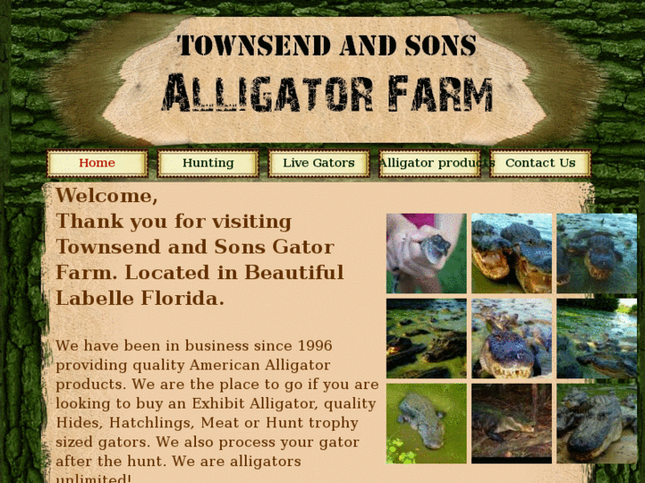 www.thegatorman.com