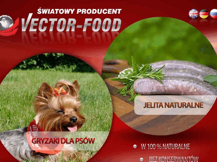 www.vector-food.pl