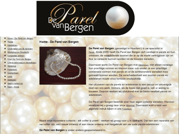 www.deparelvanbergen.com