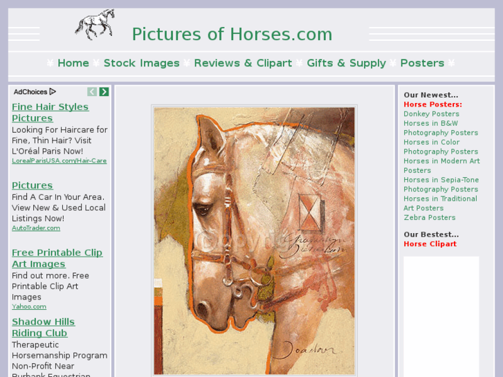 www.picturesofhorses.com