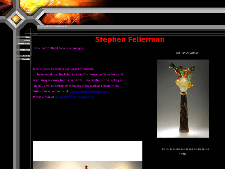 www.stephenfellerman.com