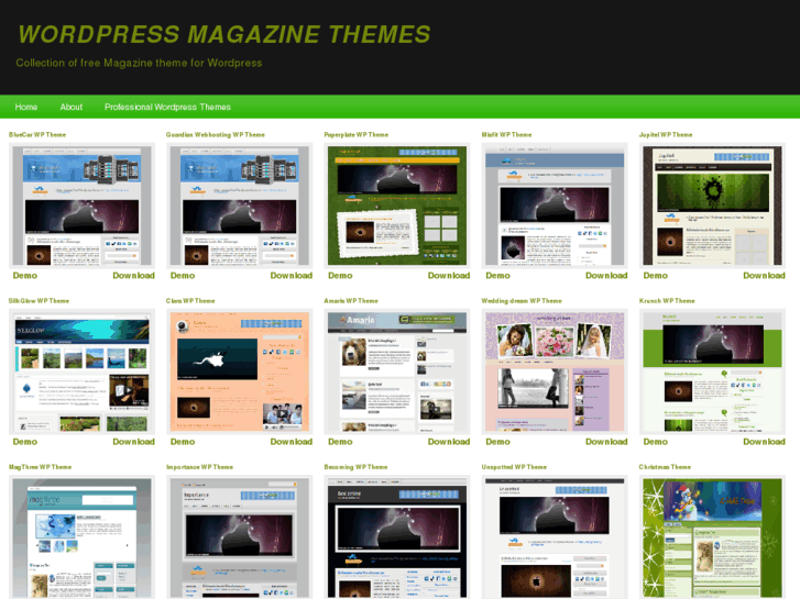 www.wordpressmagazinethemes.net